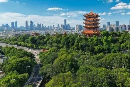 果冻传媒链接-探索果冻传媒链接的多元魅力与现代传播新视角