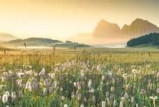 麻豆AV双飞专区-麻豆AV双飞专区，探索成人娱乐内容的新篇章
