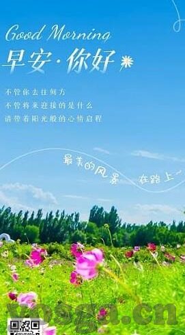 麻豆传媒在线观看视频-阅读自由与网络规范的平衡，对麻豆传媒在线观看视频的深思
