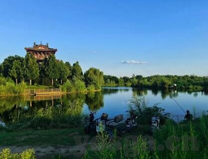 麻豆色哟哟视频-探寻多元文化的网络新视觉——麻豆色哟哟视频的时代启示