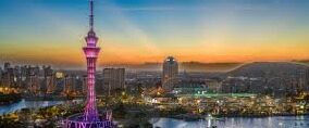 糖心app二维码-糖心app二维码，连接线上与生活的特殊纽带