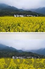 糖心app苹果软件下载-探索糖心苹果软件下载的秘密花园