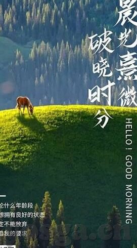 糖心vlog破解版下载安装-> 探索糖心Vlog，破解版下载与安装的风险与反思