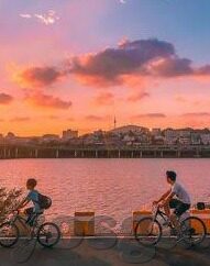糖心vlog入口-