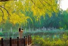 糖心vlog在线电影-糖心Vlog，在线电影的魅力新体验