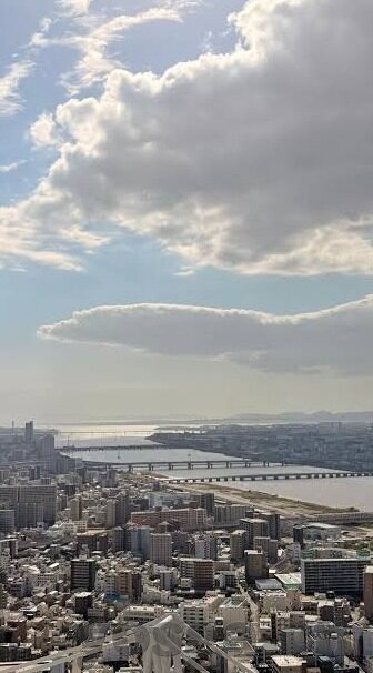 完整成人免费视频在线-探索成人教育新视角，在线学习平台的潜力与挑战