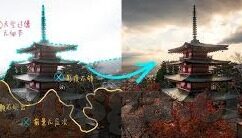 五月丁香成人视频-五月丁香，春日里的温柔邂逅